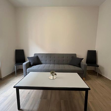 Appartement Renove A 15 Min De Lyon Saint-Fons Bagian luar foto