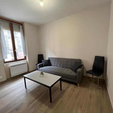 Appartement Renove A 15 Min De Lyon Saint-Fons Bagian luar foto