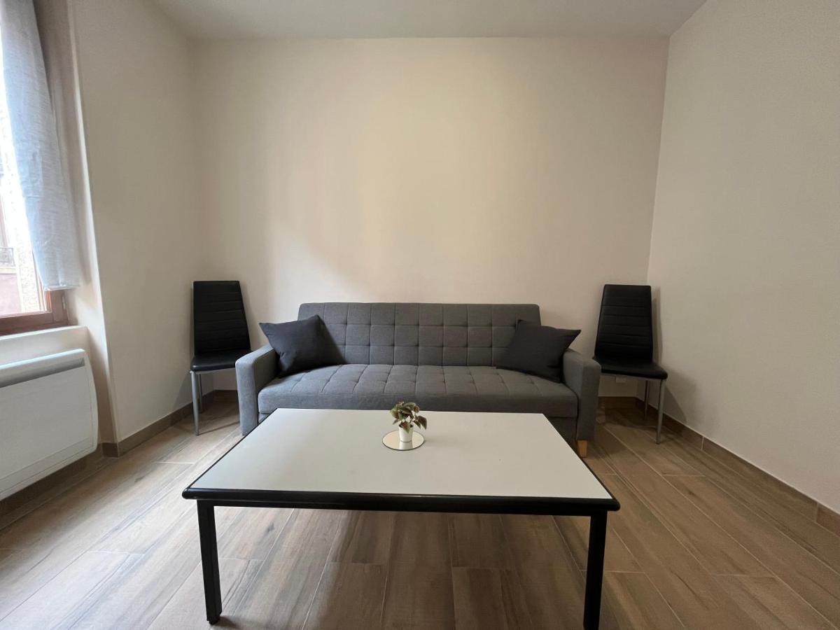 Appartement Renove A 15 Min De Lyon Saint-Fons Bagian luar foto