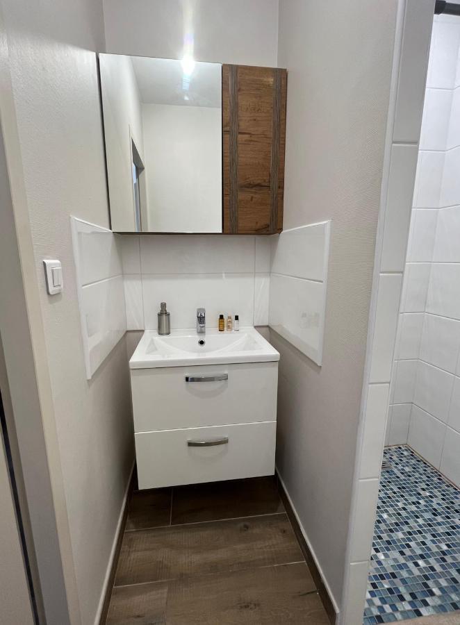 Appartement Renove A 15 Min De Lyon Saint-Fons Bagian luar foto